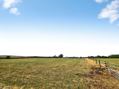 Picture 47